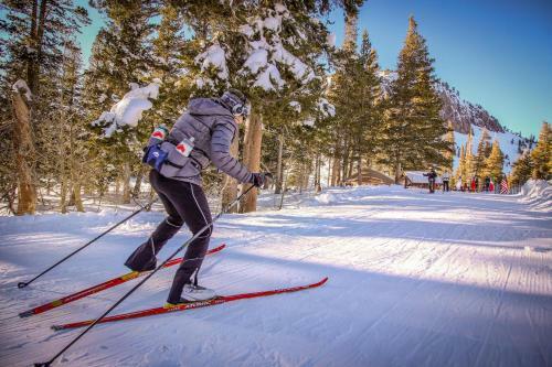 Snowcreek 621