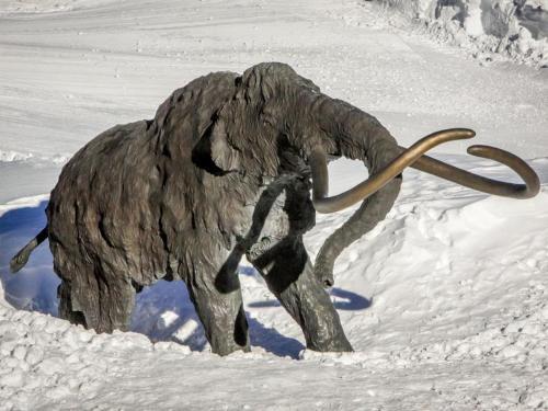 St. Moritz 75