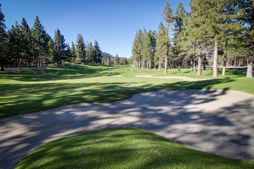 Forest Creek 22