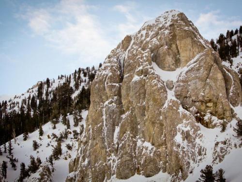 Snowcreek 233