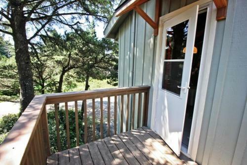 Windward Pines ~ Mca 192