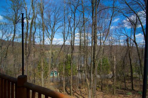 Bear Necessity Four-bedroom Holiday Home