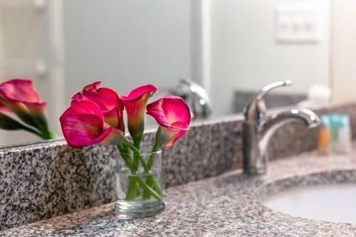 Apartamento Stay Alfred At Chisca