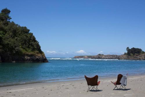 Mendocino Grove