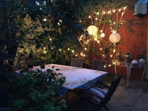 The Wild Rose