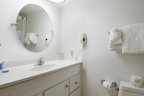 Ocean & Bayfront Apartment In Miami Beach