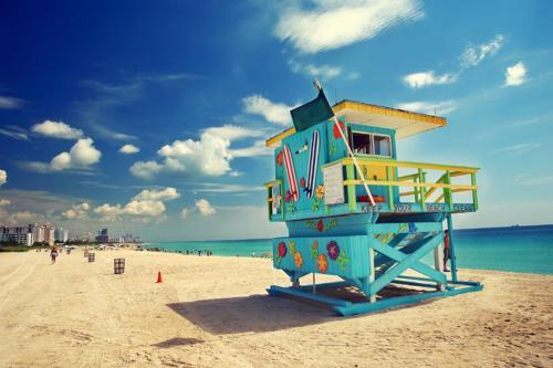 Ocean & Bayfront Apartment In Miami Beach
