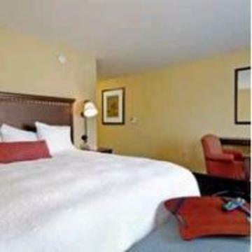 Hotel Hampton Inn  Suites Clearwater/st. Petersburg