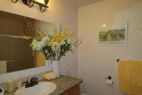 Aspen Village 84