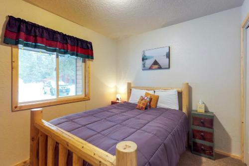 Conifer Family Cabin