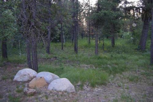 Wildwood's Deer Haven
