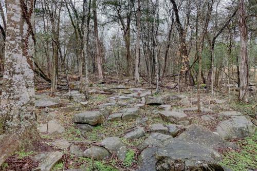 Jacks Bend At Sylamore Creek
