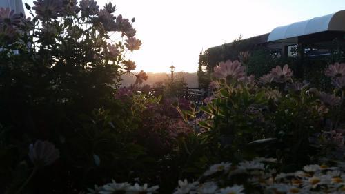 Hotel Villa Degli Angeli
