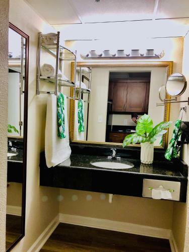 Apartamento Skywheel Oceanfront Condo