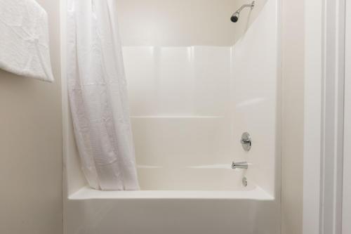 2 Bedroom Midtown Apartment