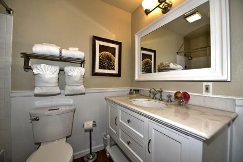 Comal River Cottages 415