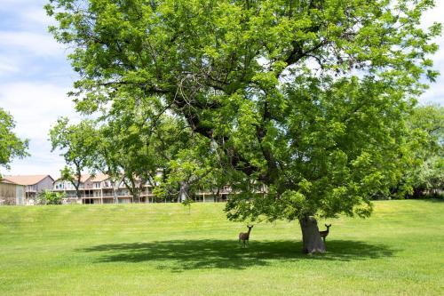 Apartamento River Relaxation Ww A302 Condo