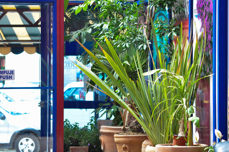 Hotel Azulejos