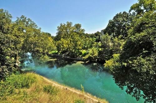 Apartamento Camp Warnecke Condo #52966