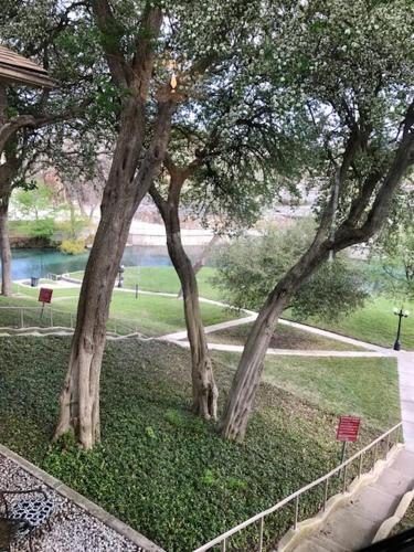 Apartamento Comal River Oasis