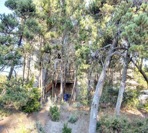 House On The Bay