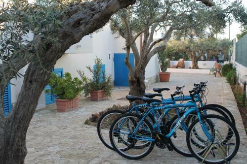 Aparthotel Case Vacanze Signorino