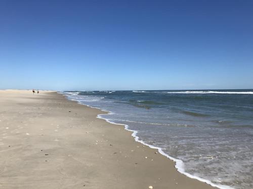 Apartamento Oceanwalk East 506 Condo