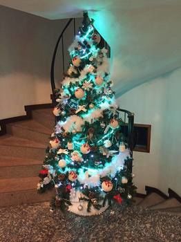 Hotel Albergo Stelvio