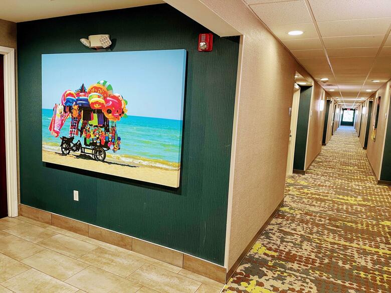 Hotel Hampton Inn & Suites Pensacola-university Mall Fl