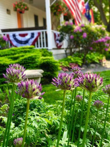 Bourne Bed And Breakfast