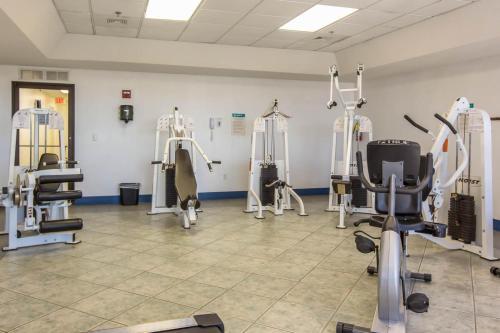 Apartamento Phoenix VI Unit 6912
