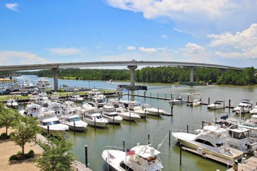 Wharf 412 Apartment