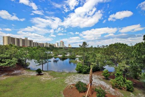 Palmetto 306 Apartment