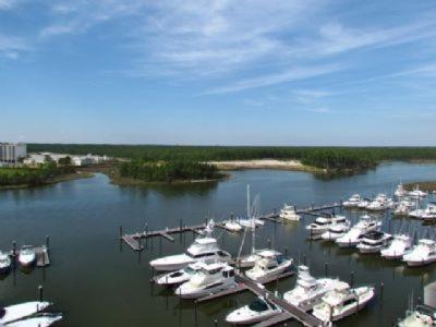 Wharf 812 Apartment