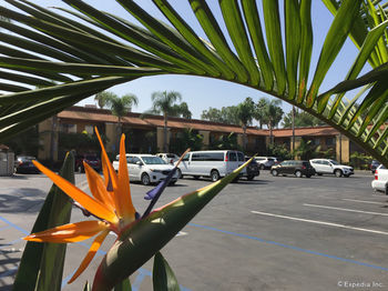 Hotel Comfort Inn Maingate
