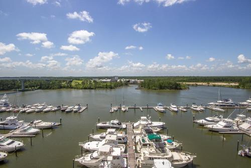 Wharf 707 Apartment