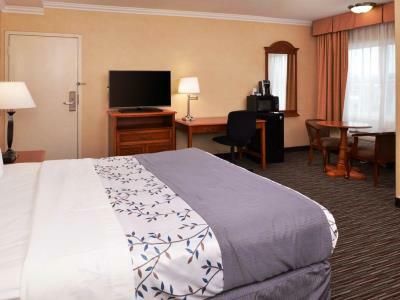 Best Western Airpark Hotel