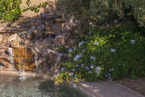 Oro Valley #12083