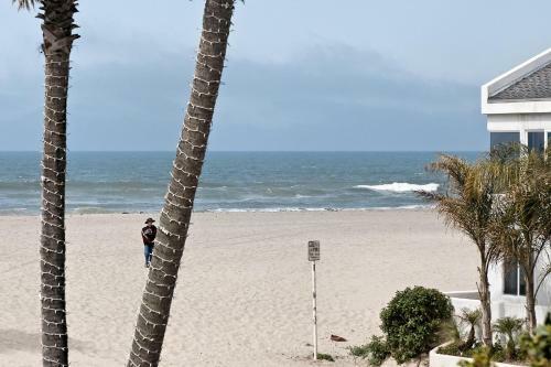 3860o - 610855 Hollywood Beach Shack