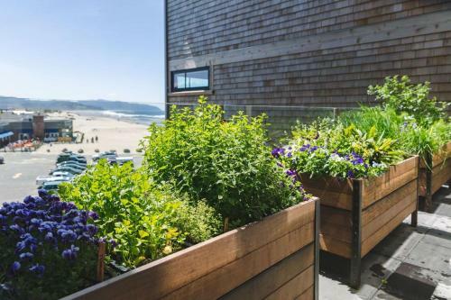 Hotel Headlands Coastal Lodge & Spa