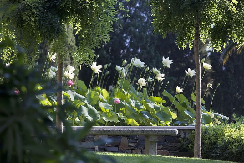 Bed & Breakfast Villa Della Pergola