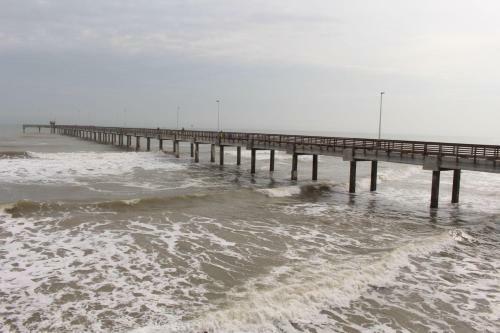 Padre Island 203
