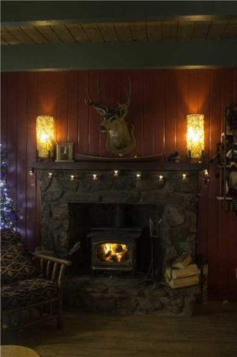 Den Of The Seven Bears Home