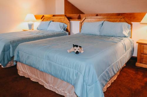 Apartamento Alpen Haus