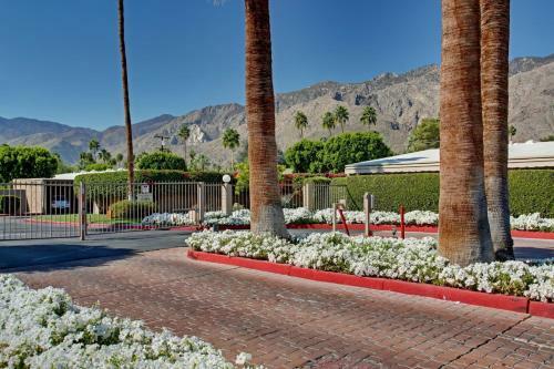 Palm Springs Hideaway