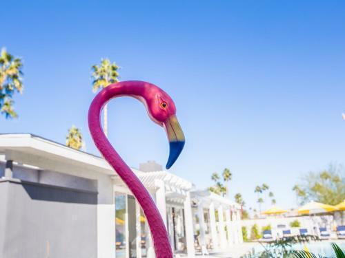 Funtopia In The Canyons - 3 Bedroom