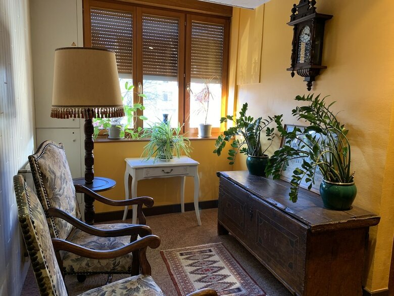 Hotel H�tel Des Vosges
