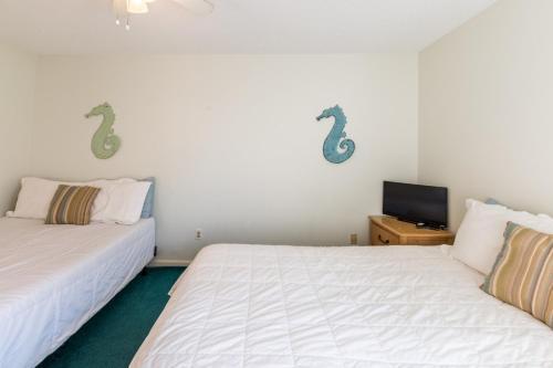 Horizon South 22b Townhouse