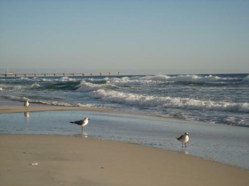 Apartamento Tidewater Beach Resort
