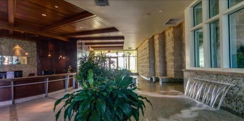 Apartamento Aqua 807 - 1242552 Condo